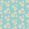 Gänseblümchen Daisy Flower