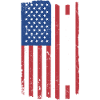 Sport Us Flag Racquetball