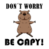 Capybara Capybara Cadeau