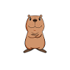 Capybara Wasserschwein