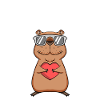 Capybara Capybara Cadeau