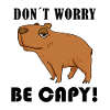 Capybara Capybara Cadeau