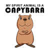 Capybara Capybara Cadeau