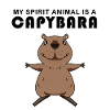 Capybara Capybara Cadeau