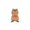 Capybara Wasserschwein