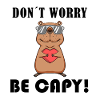 Capybara Capybara Cadeau
