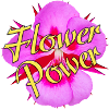 Flower Power Bloom