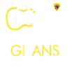 Guitaristes Gitans