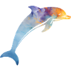 dolphin