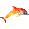 dauphins