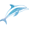 dauphins