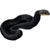 Serpent Mamba noir