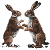 Rabbit Rabbit Boxing