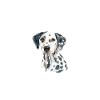 Gifts for Dalmatian Lovers