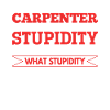 Carpenter I can't fix stupidity