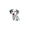 Gifts for Dalmatian Lovers