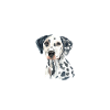 Gifts for Dalmatian Lovers