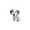 Gifts for Dalmatian Lovers