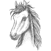 Pferde