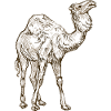 Wildtiere