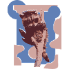 Wildtiere