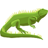Wildtiere