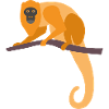 Wildtiere