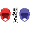 Casque taekwondo