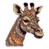 Alife the giraffe