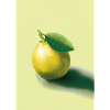 Zitrusfrüchte