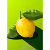 Zitrusfrüchte