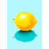 Zitrusfrüchte