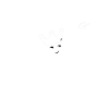 KING OF MUSCLES