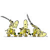 Samurai-Banane