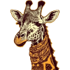 Lydia die Giraffe