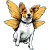 Billy the Butterfly Dog