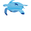 Sea Turtle Tortoise
