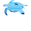 Tortue de mer