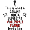 Badass, Ninja, Superstar, Volleyball player
