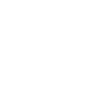 Ferret polecat