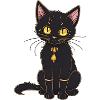Black cat
