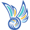 Ballsport