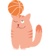 Ballsport