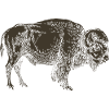 Wildtiere