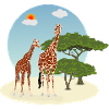 Mère et bébé girafe