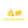 Lactose Intolerant - Still Cheesin' It -