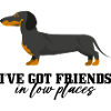 Dackel Ember Silhouette