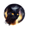 Black cat