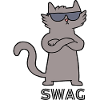 Swag Cat