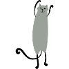 Katze